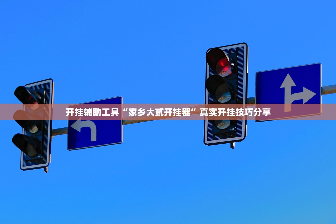 开挂辅助工具“家乡大贰开挂器”真实开挂技巧分享