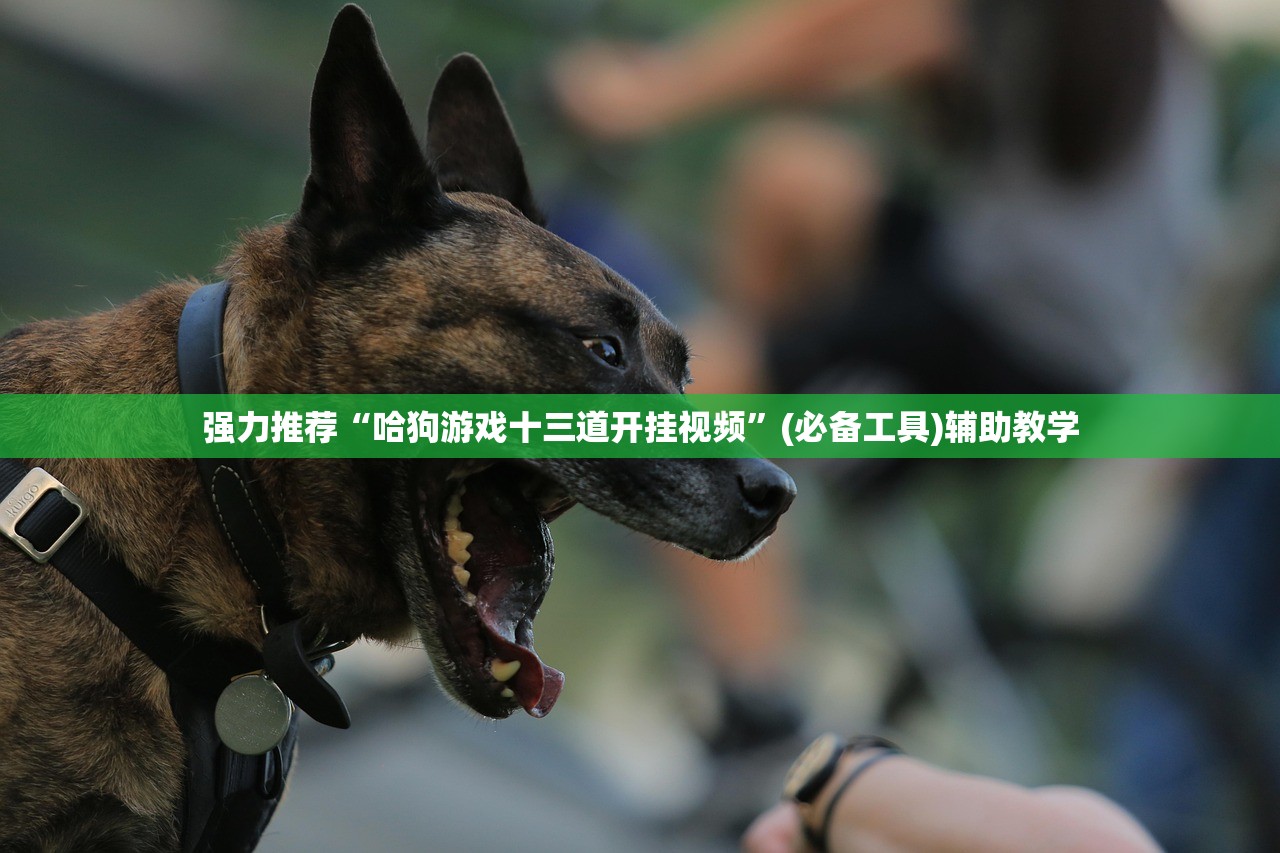 强力推荐“哈狗游戏十三道开挂视频”(必备工具)辅助教学
