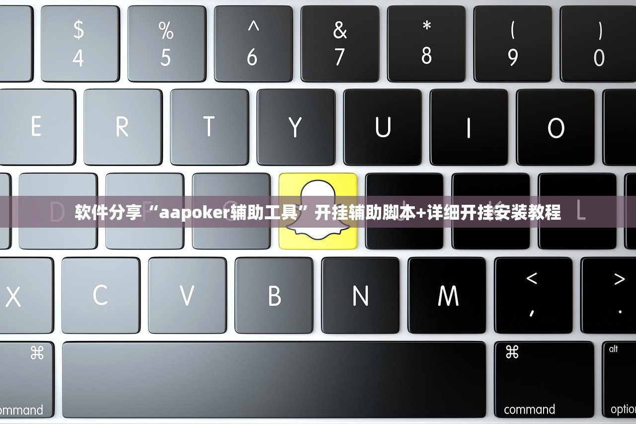 软件分享“aapoker辅助工具”开挂辅助脚本+详细开挂安装教程