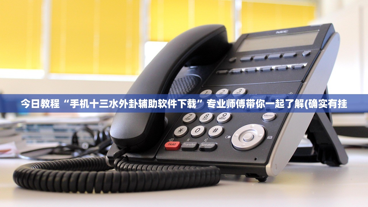 今日教程“手机十三水外卦辅助软件下载”专业师傅带你一起了解(确实有挂
