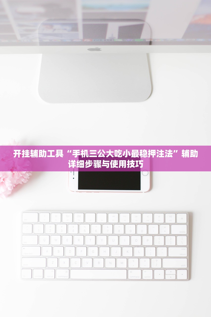 开挂辅助工具“手机三公大吃小最稳押注法”辅助详细步骤与使用技巧