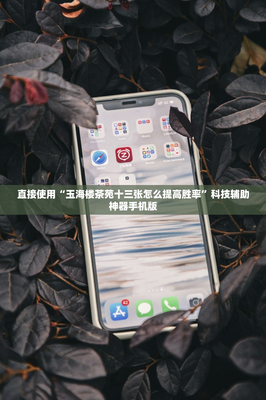 直接使用“玉海楼茶苑十三张怎么提高胜率”科技辅助神器手机版