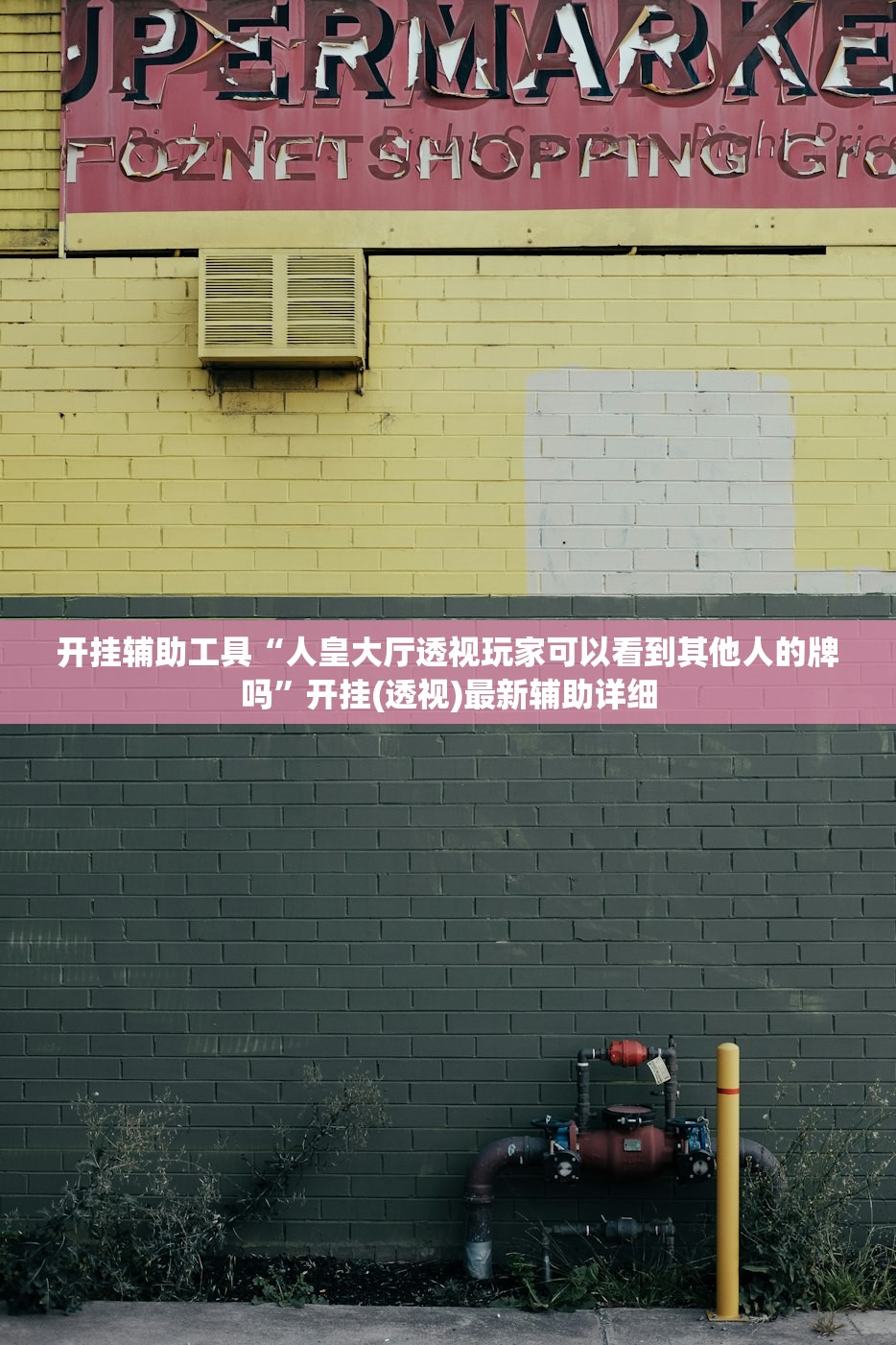 开挂辅助工具“人皇大厅透视玩家可以看到其他人的牌吗”开挂(透视)最新辅助详细