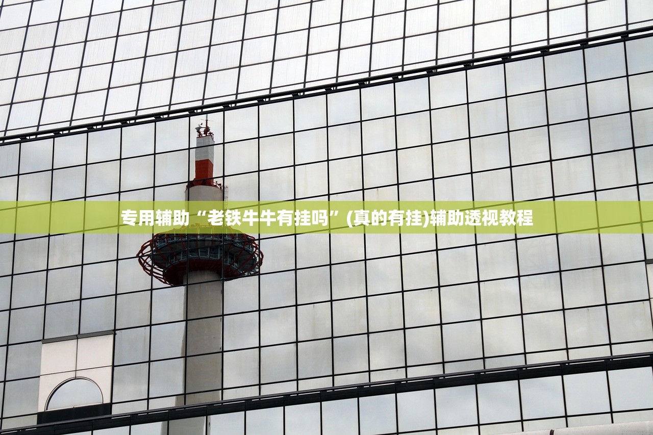专用辅助“老铁牛牛有挂吗”(真的有挂)辅助透视教程