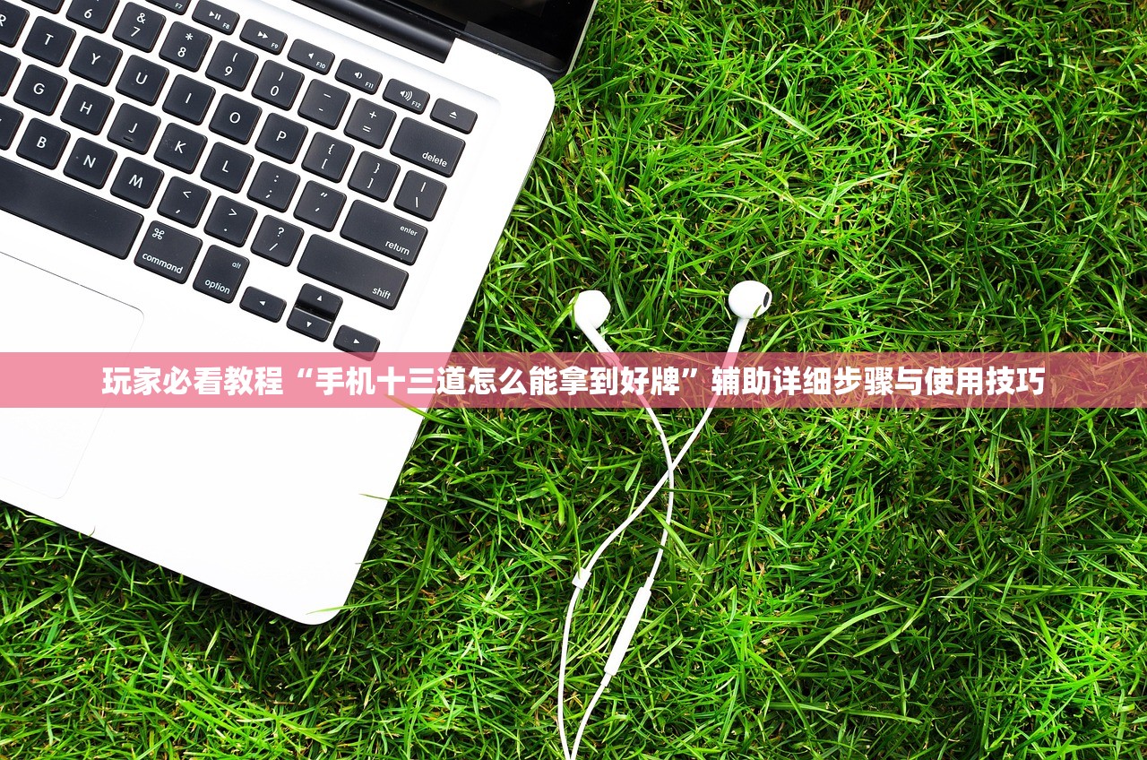 玩家必看教程“手机十三道怎么能拿到好牌	”辅助详细步骤与使用技巧