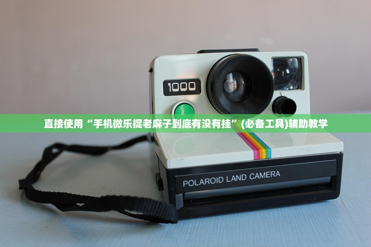 直接使用“手机微乐捉老麻子到底有没有挂	”(必备工具)辅助教学