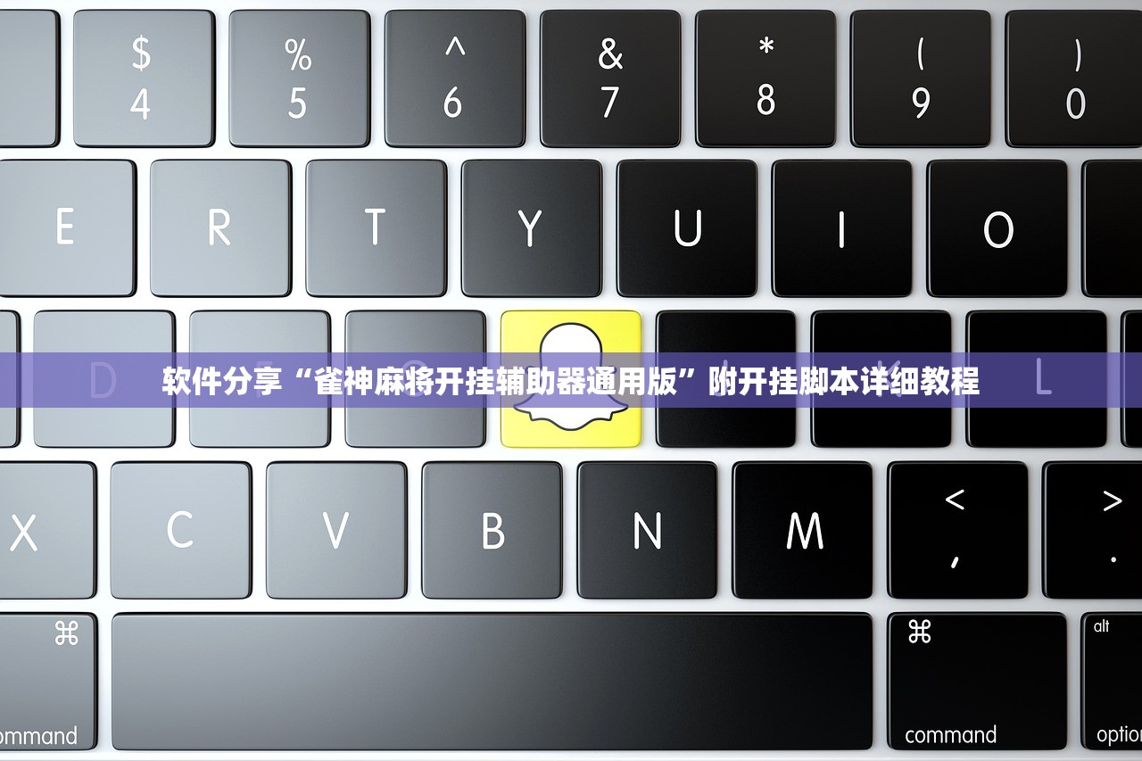 软件分享“雀神麻将开挂辅助器通用版	”附开挂脚本详细教程