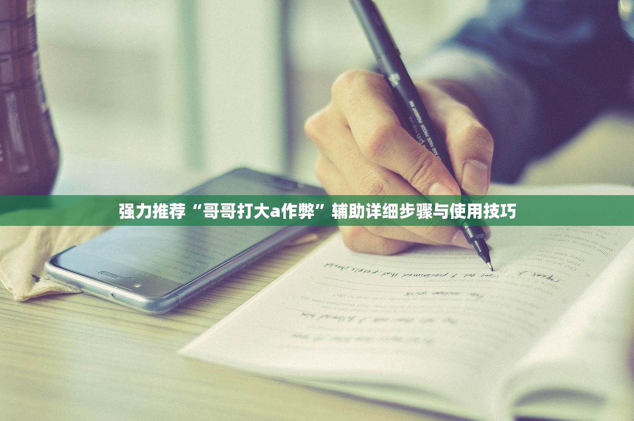 强力推荐“哥哥打大a作弊”辅助详细步骤与使用技巧
