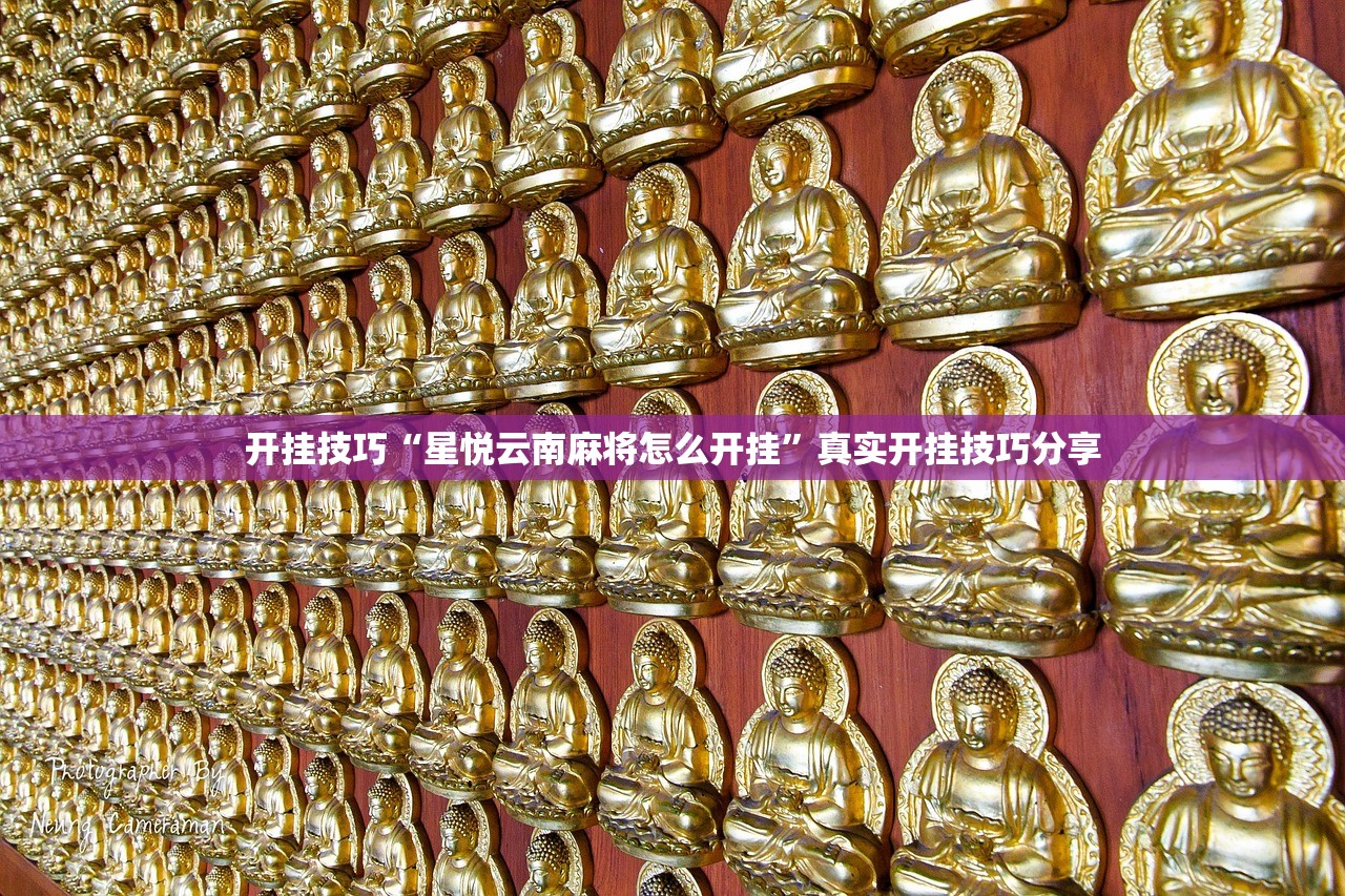 开挂技巧“星悦云南麻将怎么开挂”真实开挂技巧分享