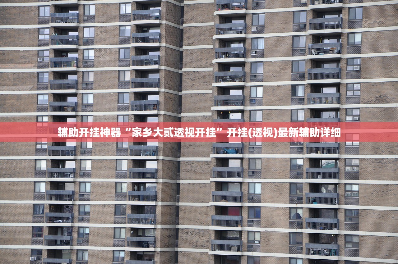 辅助开挂神器“家乡大贰透视开挂”开挂(透视)最新辅助详细