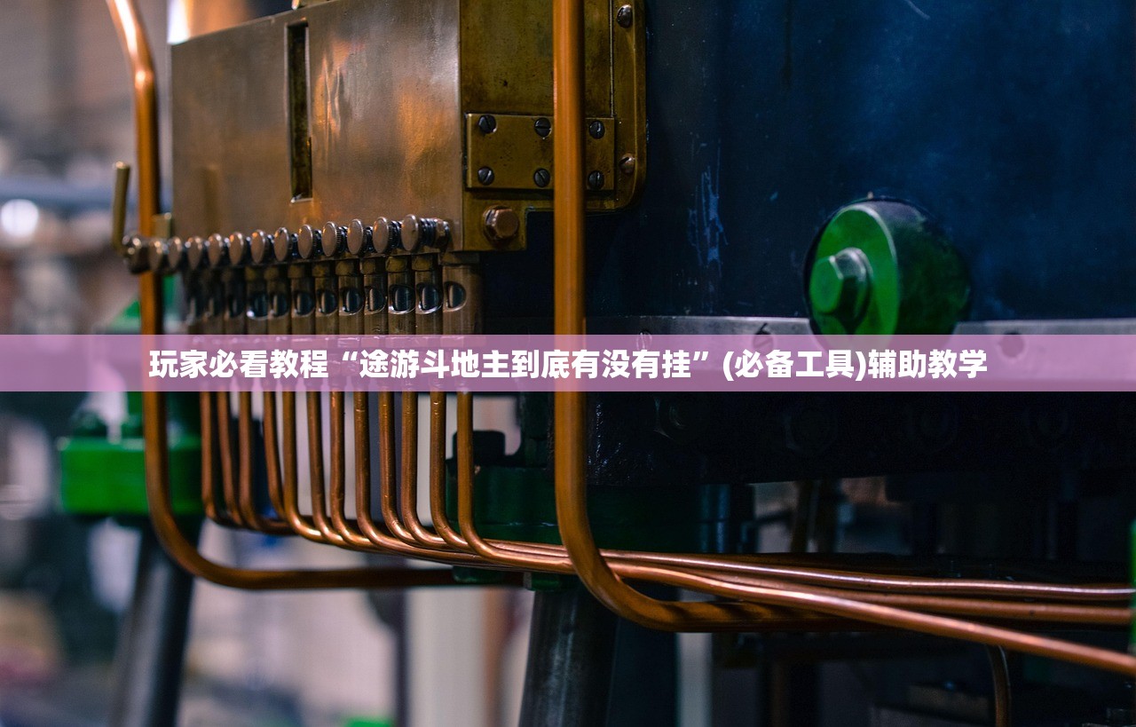 玩家必看教程“途游斗地主到底有没有挂	”(必备工具)辅助教学