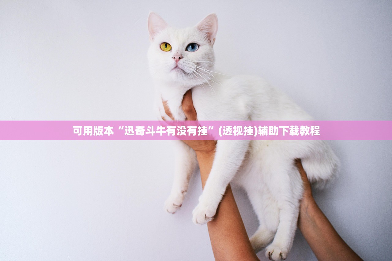可用版本“迅奇斗牛有没有挂”(透视挂)辅助下载教程