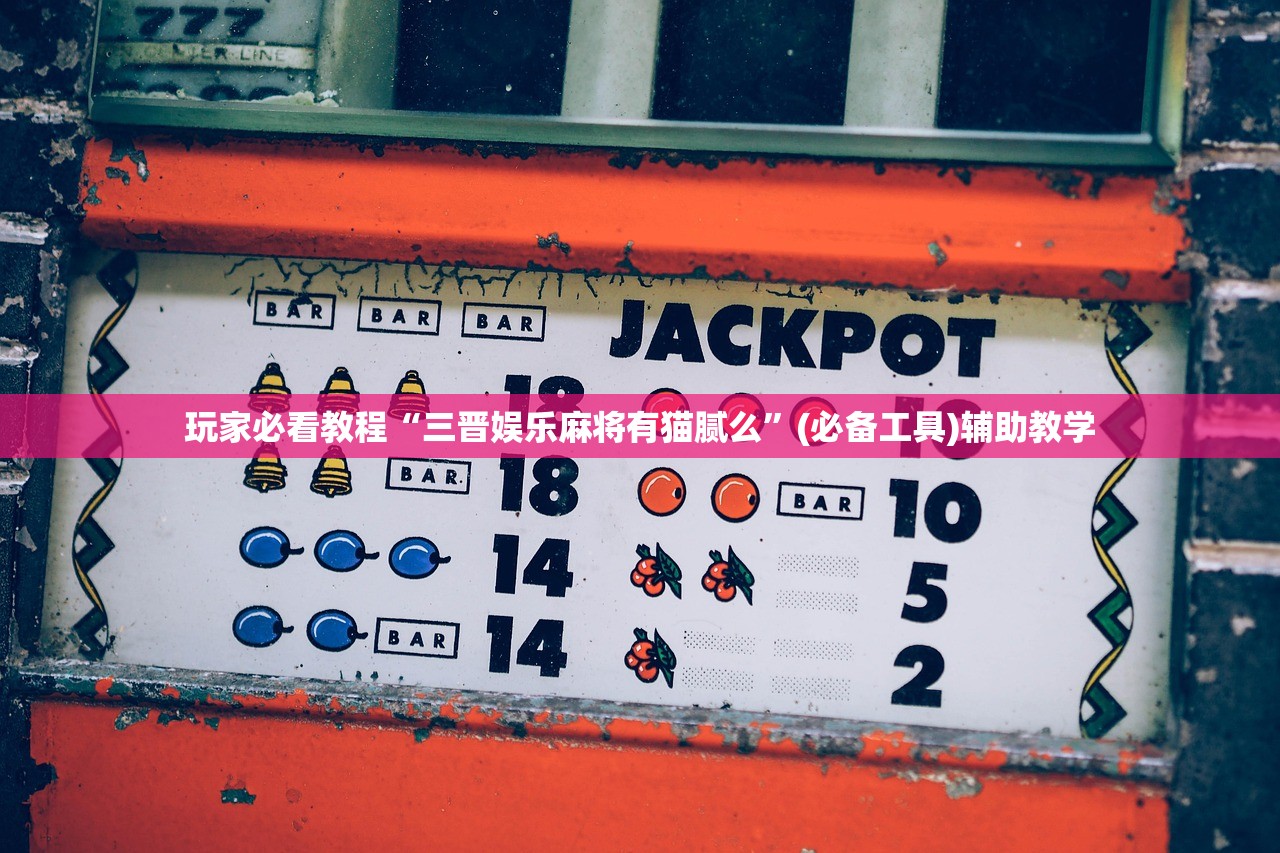 玩家必看教程“三晋娱乐麻将有猫腻么”(必备工具)辅助教学