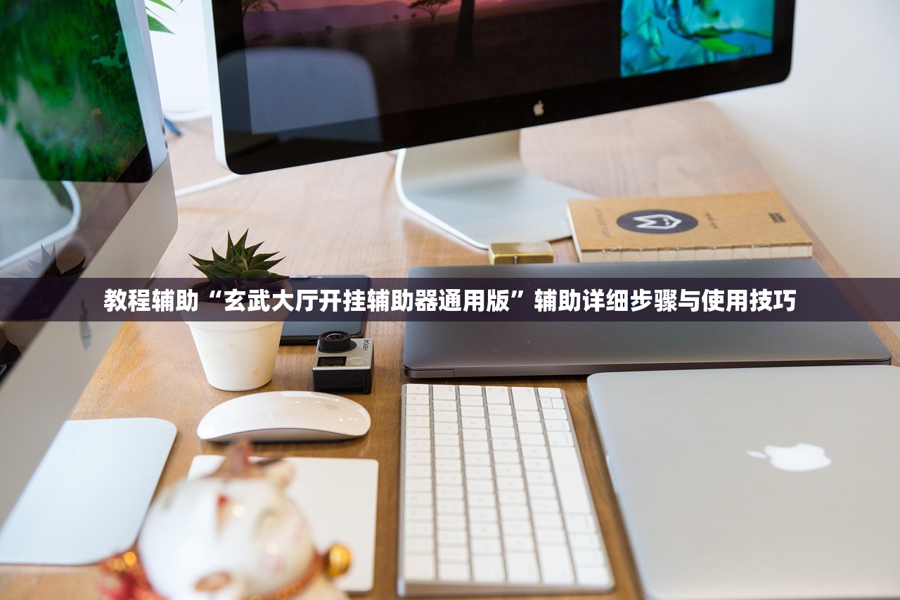 教程辅助“玄武大厅开挂辅助器通用版”辅助详细步骤与使用技巧