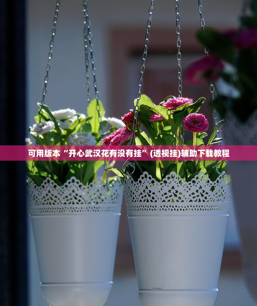可用版本“开心武汉花有没有挂”(透视挂)辅助下载教程