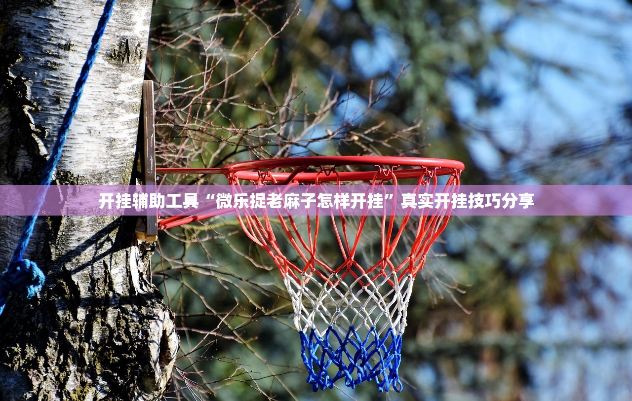 开挂辅助工具“微乐捉老麻子怎样开挂	”真实开挂技巧分享