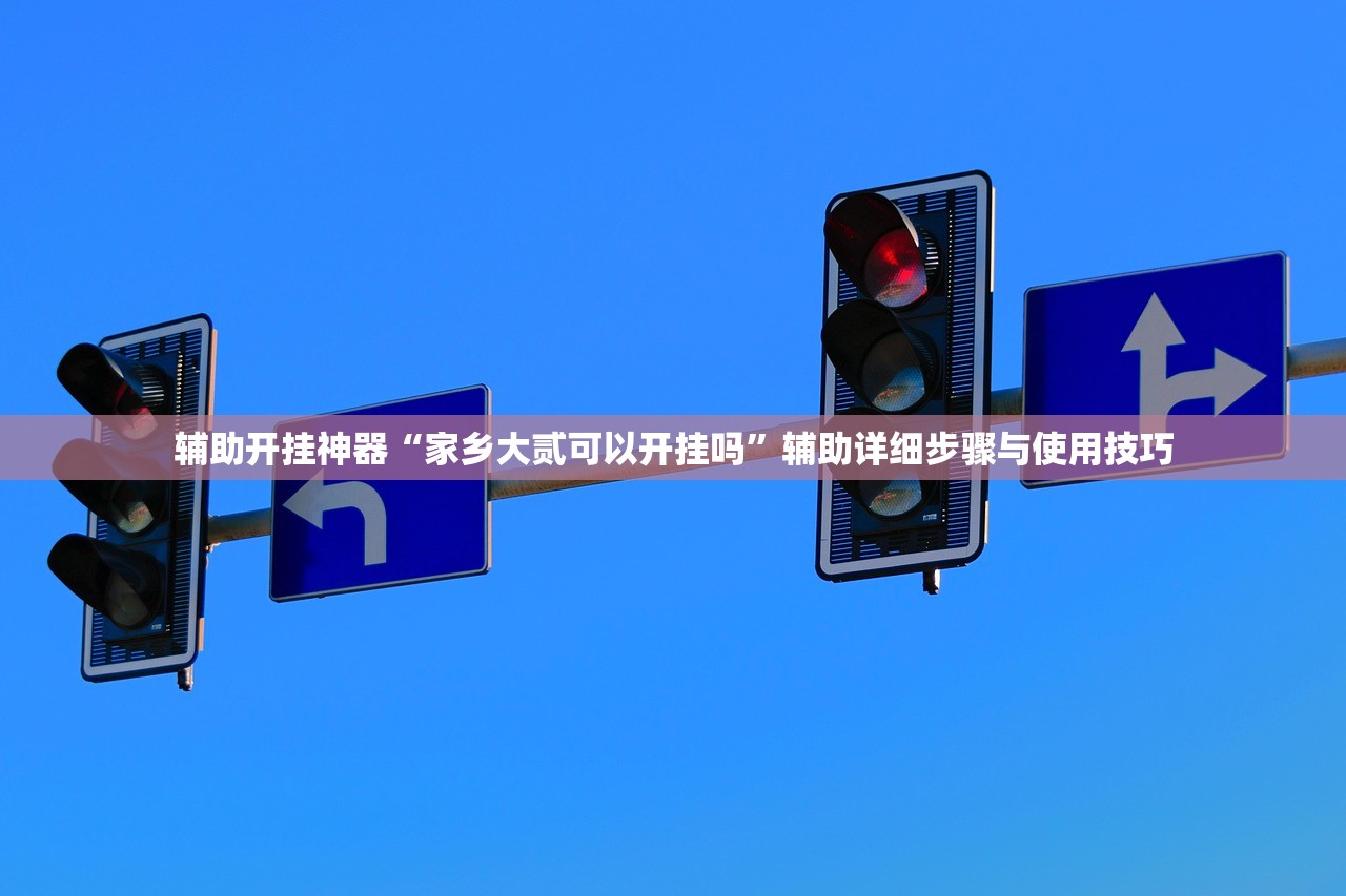 辅助开挂神器“家乡大贰可以开挂吗”辅助详细步骤与使用技巧