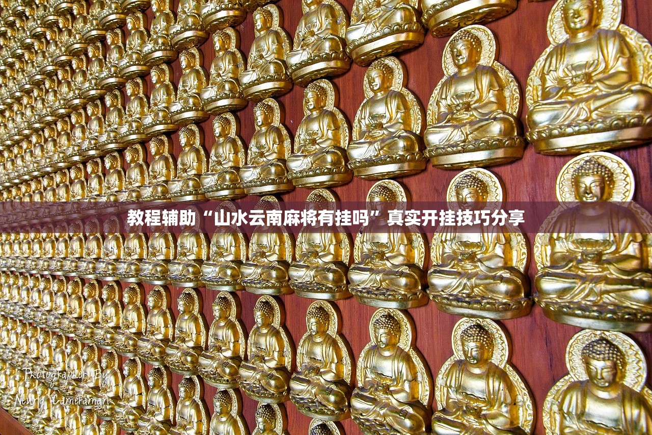 教程辅助“山水云南麻将有挂吗”真实开挂技巧分享