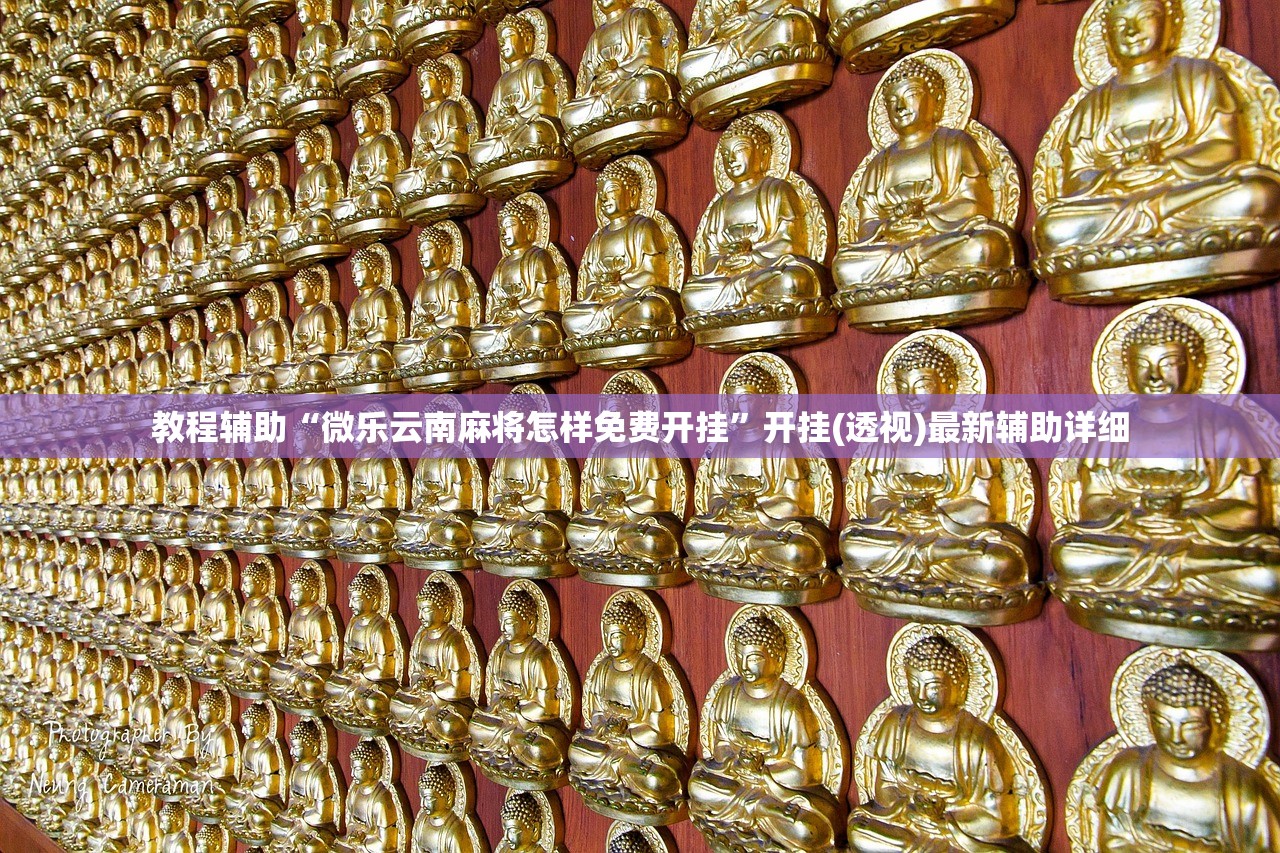 教程辅助“微乐云南麻将怎样免费开挂”开挂(透视)最新辅助详细
