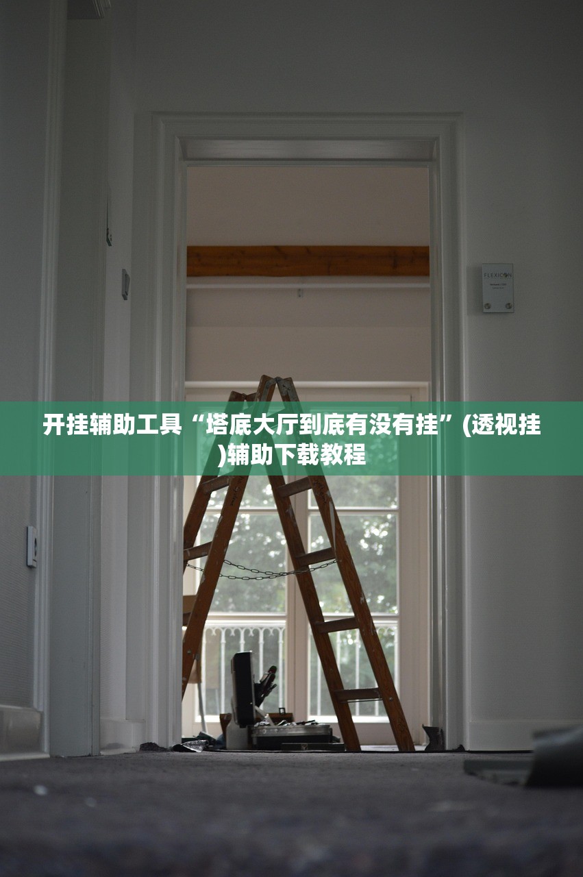开挂辅助工具“塔底大厅到底有没有挂”(透视挂)辅助下载教程