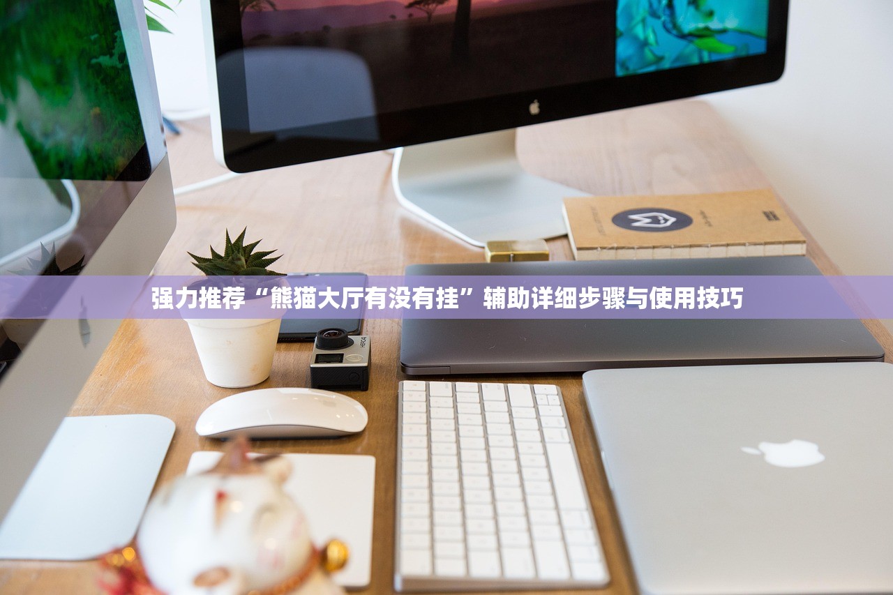强力推荐“熊猫大厅有没有挂”辅助详细步骤与使用技巧