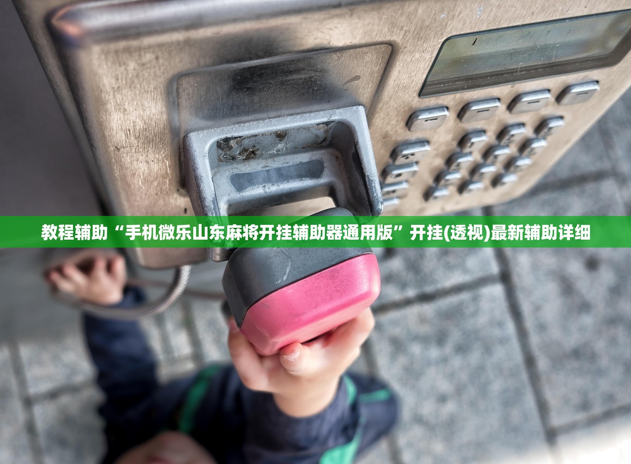 教程辅助“手机微乐山东麻将开挂辅助器通用版”开挂(透视)最新辅助详细