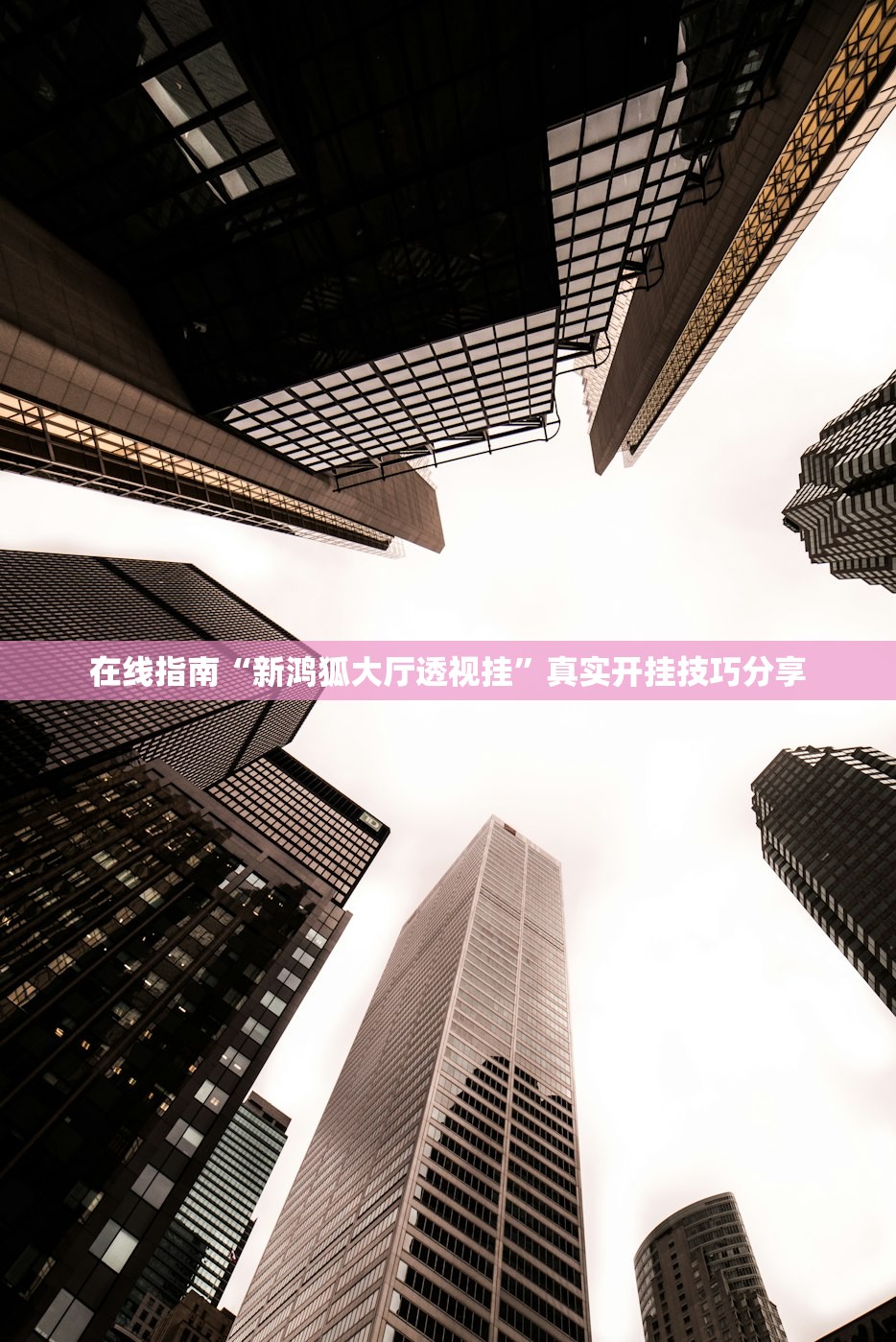在线指南“新鸿狐大厅透视挂	”真实开挂技巧分享