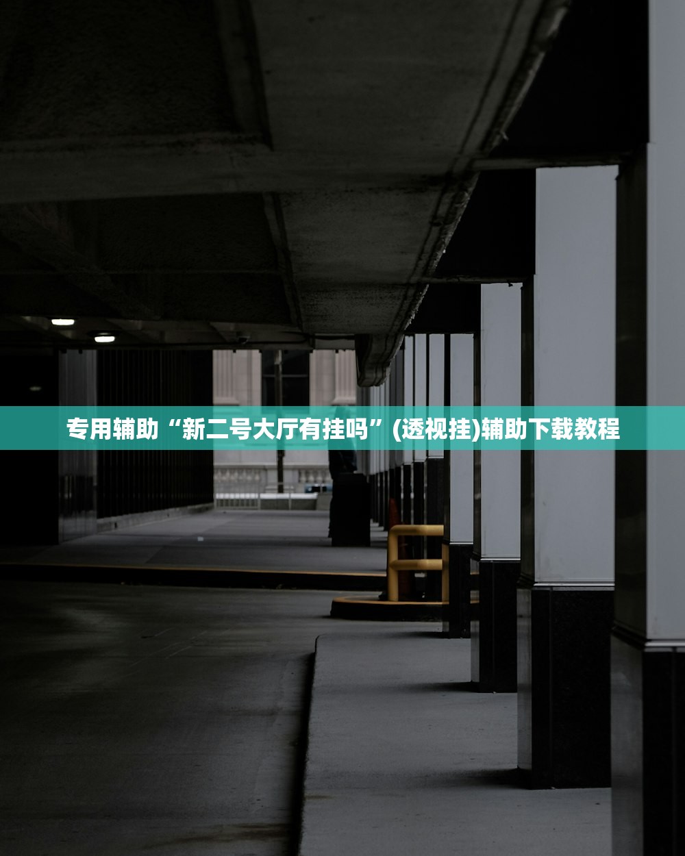 专用辅助“新二号大厅有挂吗	”(透视挂)辅助下载教程