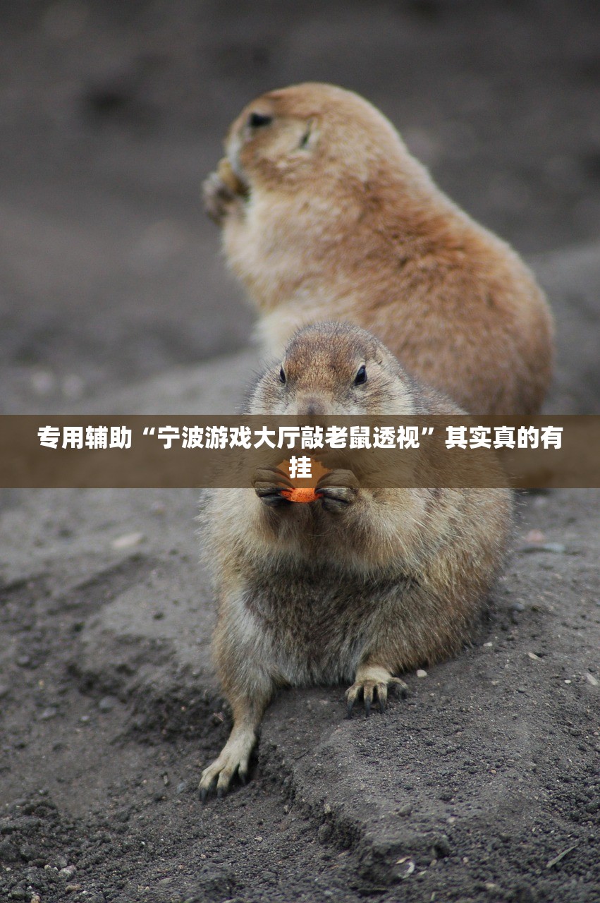 专用辅助“宁波游戏大厅敲老鼠透视”其实真的有挂
