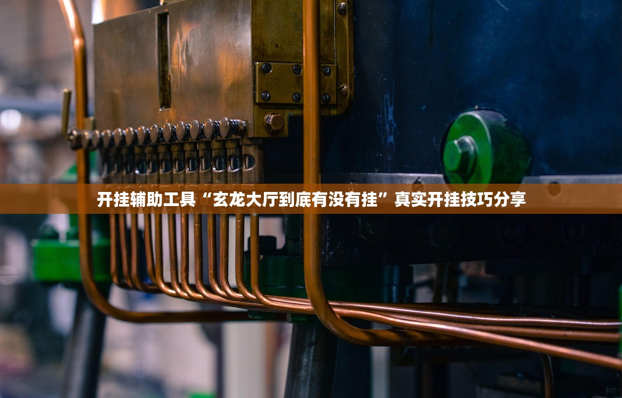 开挂辅助工具“玄龙大厅到底有没有挂”真实开挂技巧分享