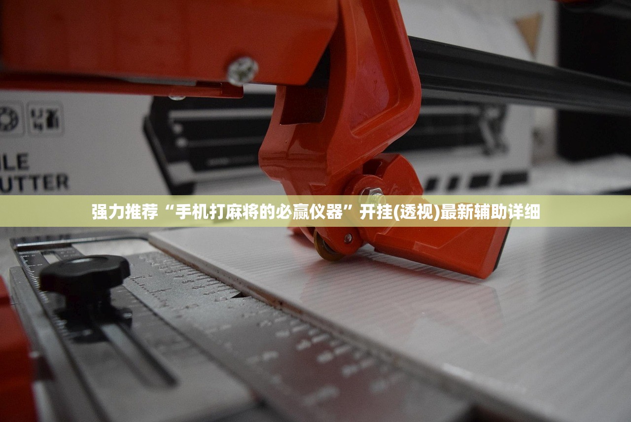 强力推荐“手机打麻将的必赢仪器”开挂(透视)最新辅助详细