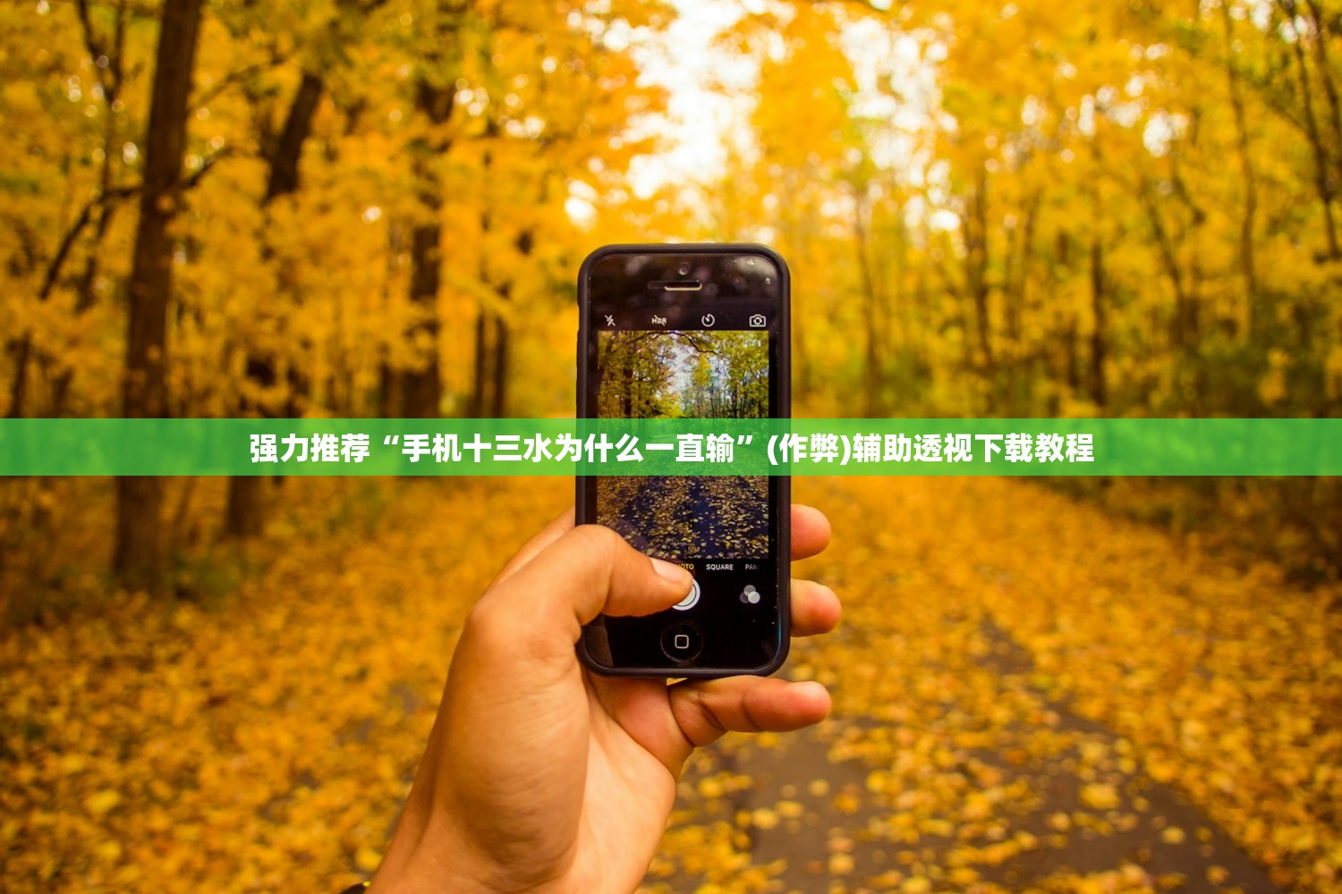 强力推荐“手机十三水为什么一直输”(作弊)辅助透视下载教程