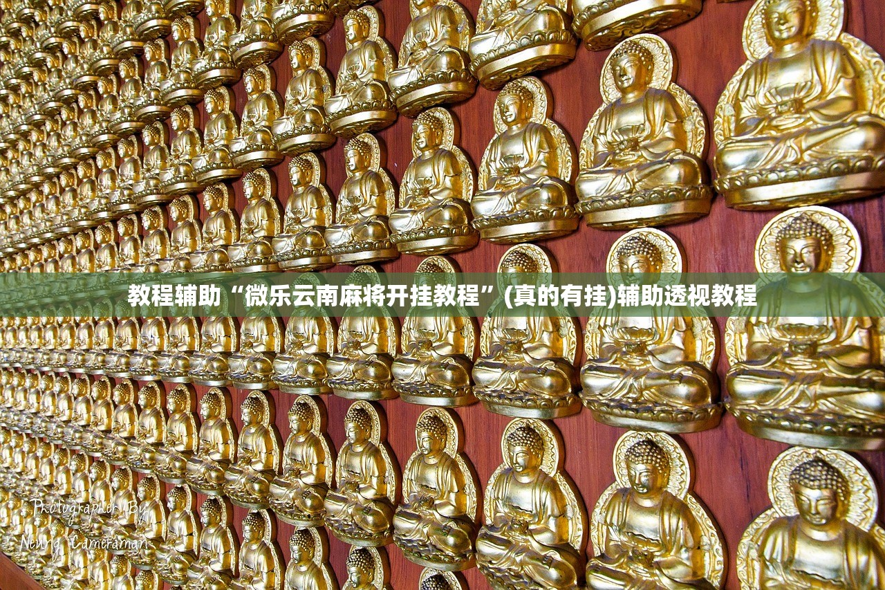 教程辅助“微乐云南麻将开挂教程”(真的有挂)辅助透视教程