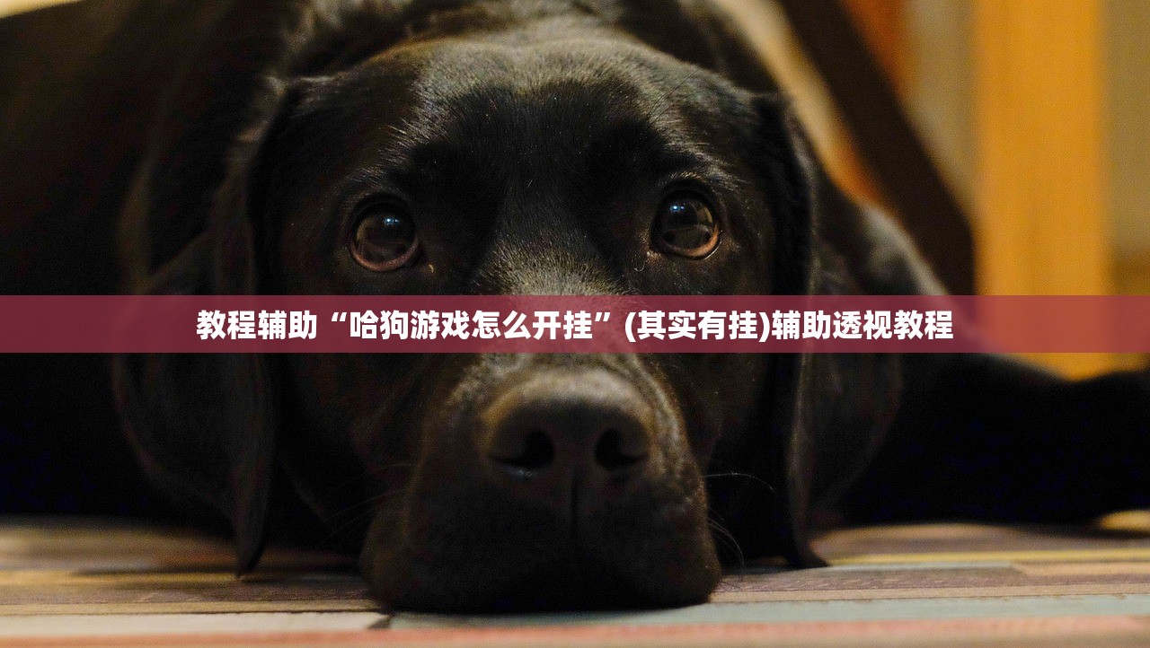教程辅助“哈狗游戏怎么开挂”(其实有挂)辅助透视教程