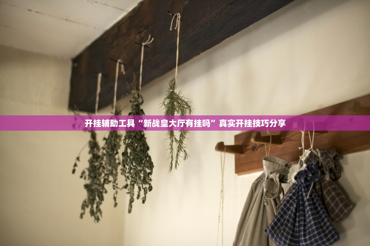 开挂辅助工具“新战皇大厅有挂吗”真实开挂技巧分享