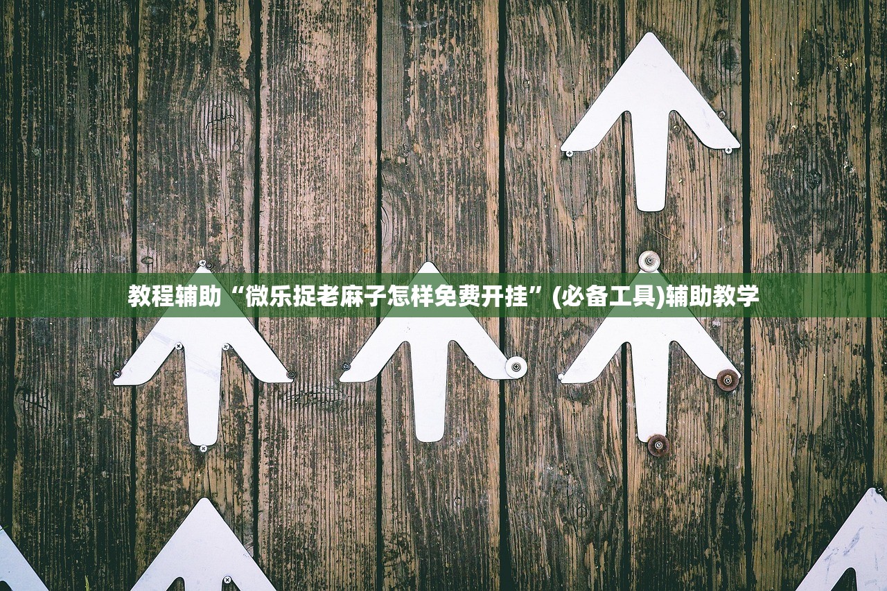 教程辅助“微乐捉老麻子怎样免费开挂”(必备工具)辅助教学