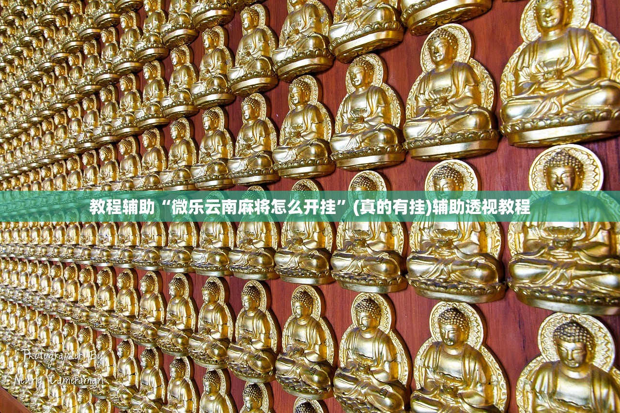 教程辅助“微乐云南麻将怎么开挂”(真的有挂)辅助透视教程