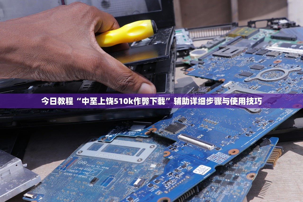 今日教程“中至上饶510k作弊下载”辅助详细步骤与使用技巧