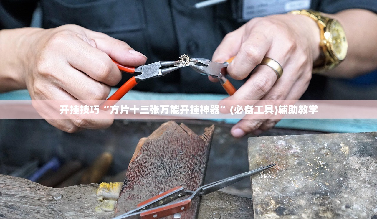 开挂技巧“方片十三张万能开挂神器	”(必备工具)辅助教学