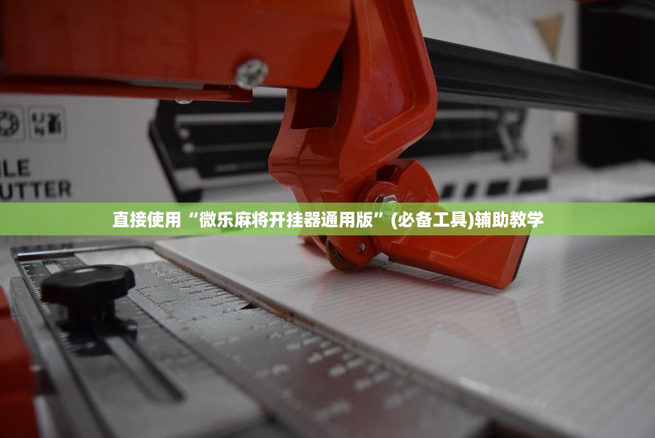 直接使用“微乐麻将开挂器通用版	”(必备工具)辅助教学