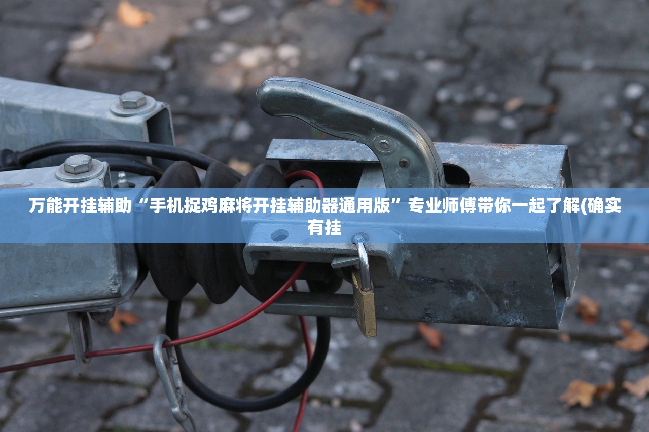 万能开挂辅助“手机捉鸡麻将开挂辅助器通用版”专业师傅带你一起了解(确实有挂