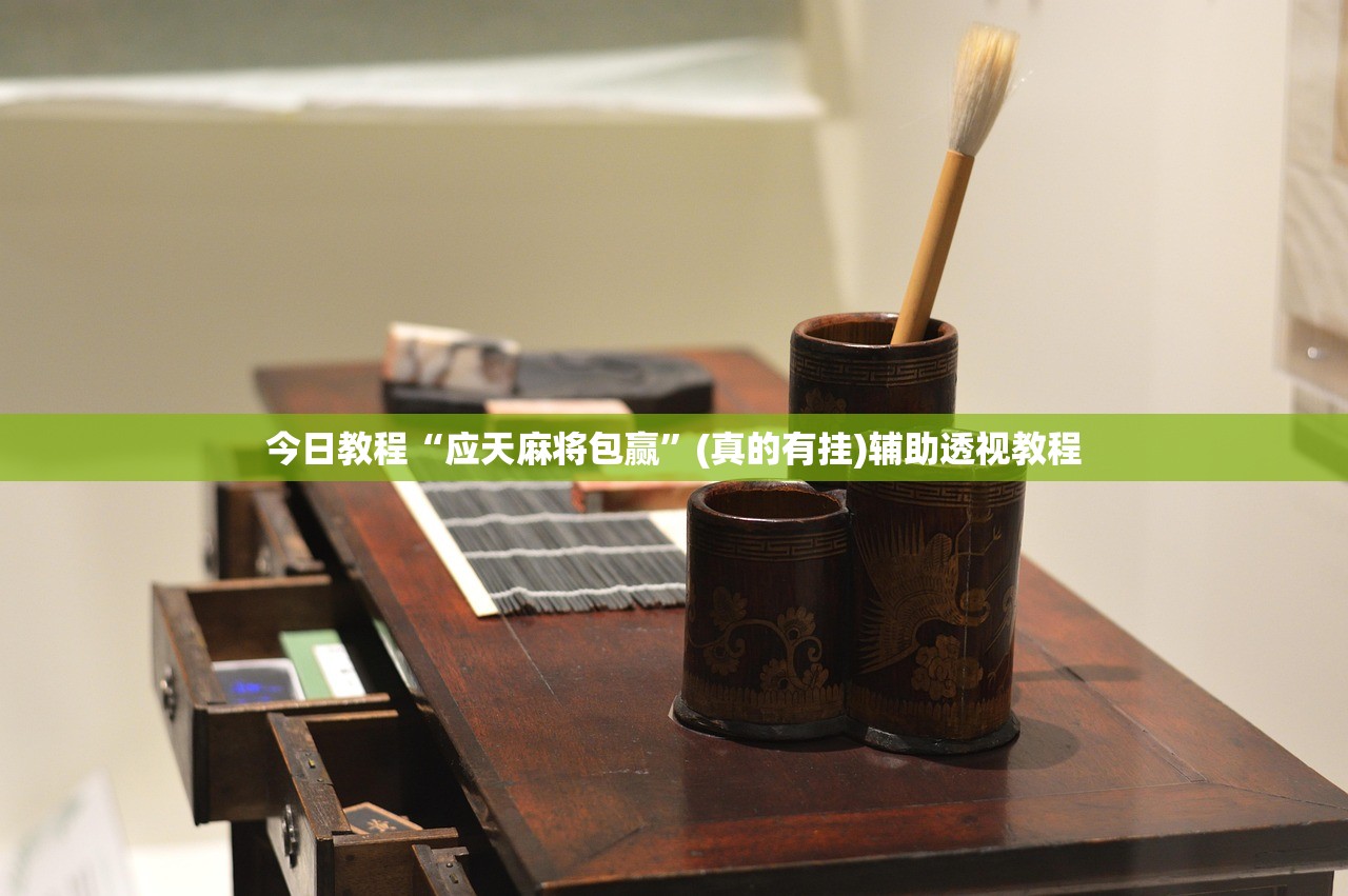 今日教程“应天麻将包赢	”(真的有挂)辅助透视教程