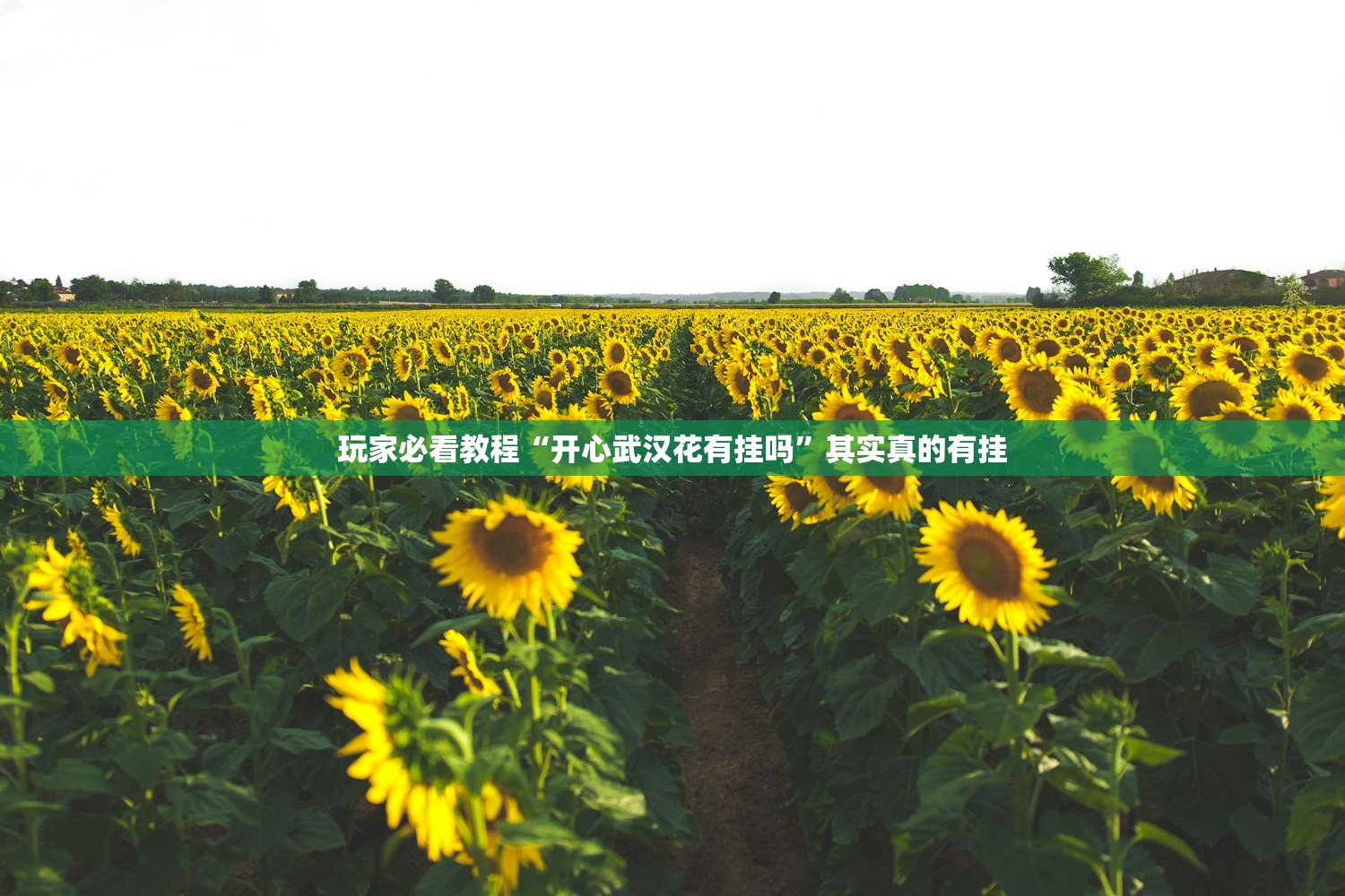 玩家必看教程“开心武汉花有挂吗	”其实真的有挂