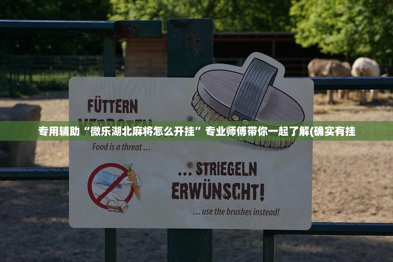 专用辅助“微乐湖北麻将怎么开挂	”专业师傅带你一起了解(确实有挂