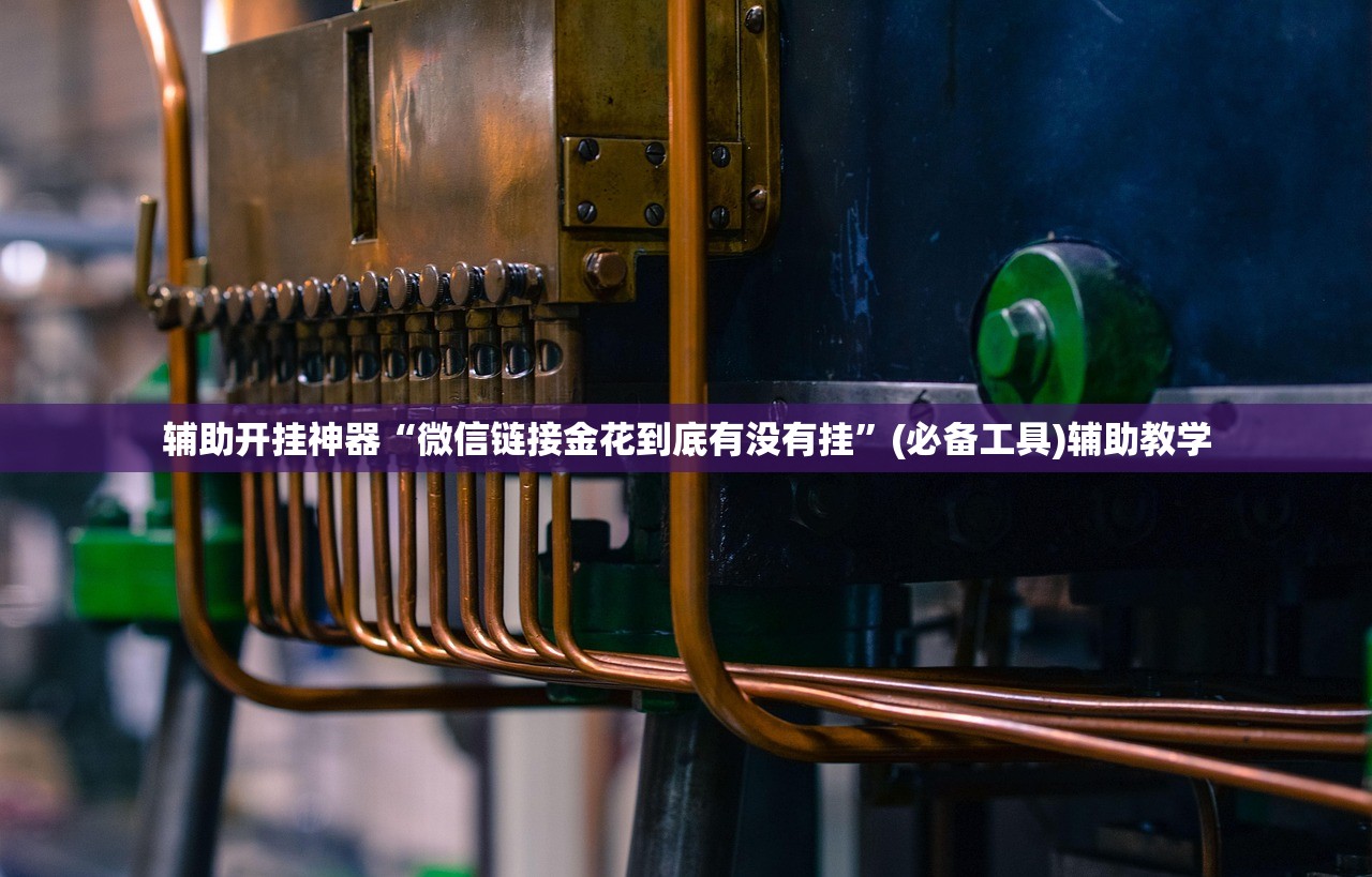 辅助开挂神器“微信链接金花到底有没有挂”(必备工具)辅助教学