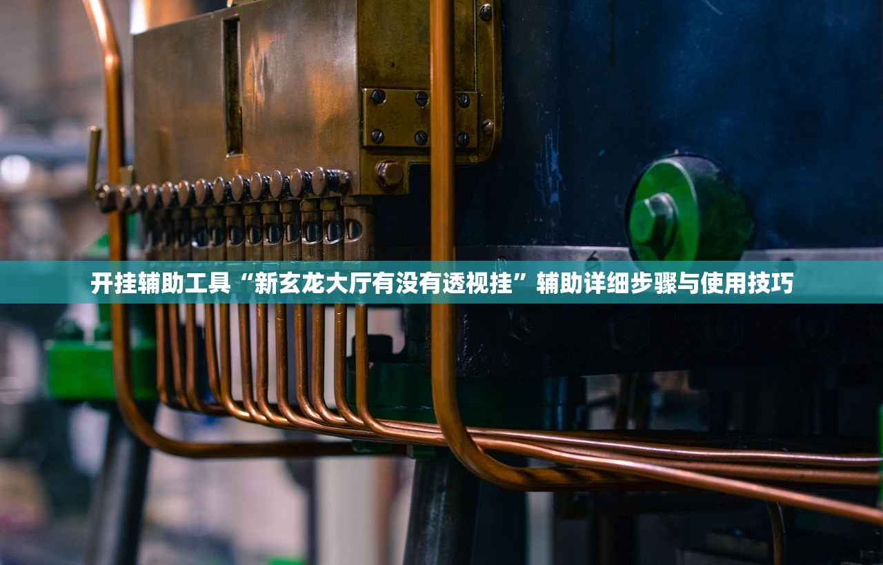 开挂辅助工具“新玄龙大厅有没有透视挂”辅助详细步骤与使用技巧