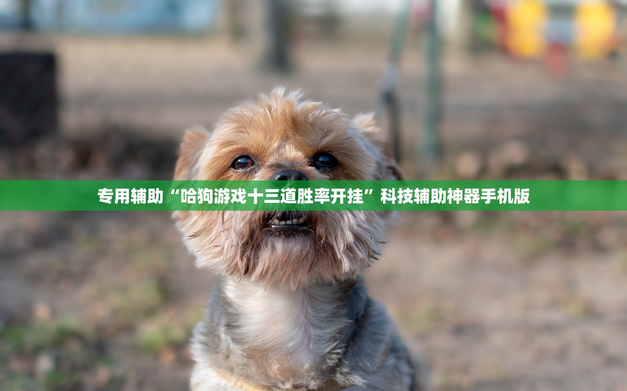 专用辅助“哈狗游戏十三道胜率开挂”科技辅助神器手机版