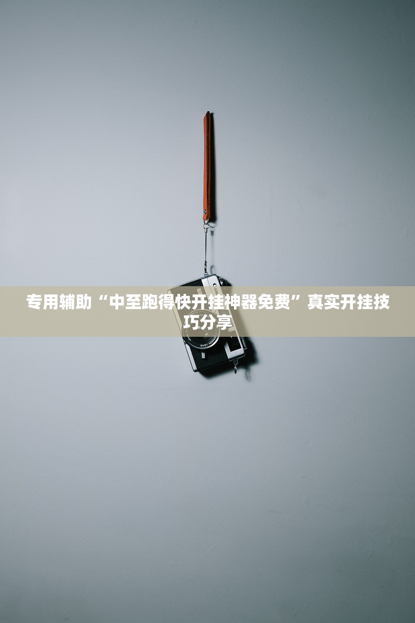 专用辅助“中至跑得快开挂神器免费”真实开挂技巧分享