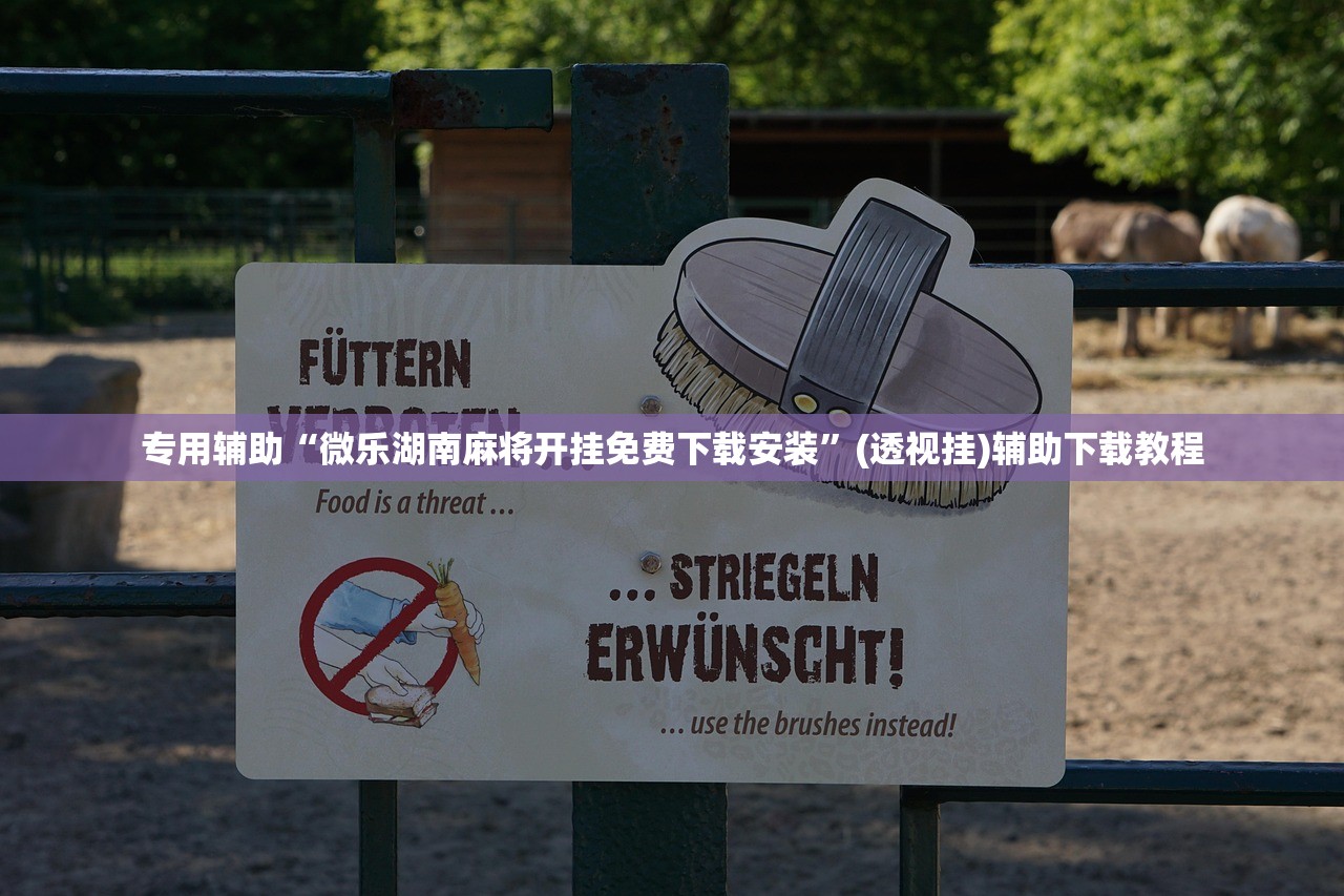 专用辅助“微乐湖南麻将开挂免费下载安装”(透视挂)辅助下载教程