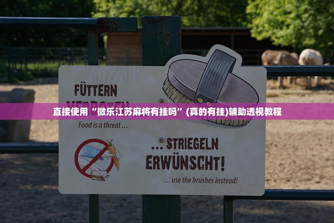 直接使用“微乐江苏麻将有挂吗”(真的有挂)辅助透视教程
